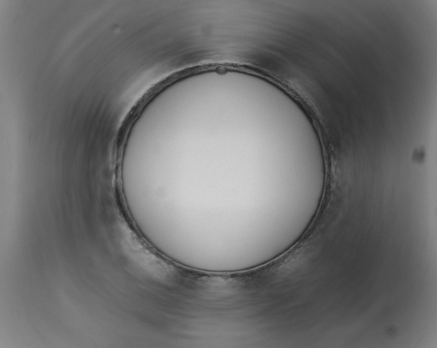 X0000112791124200909181507