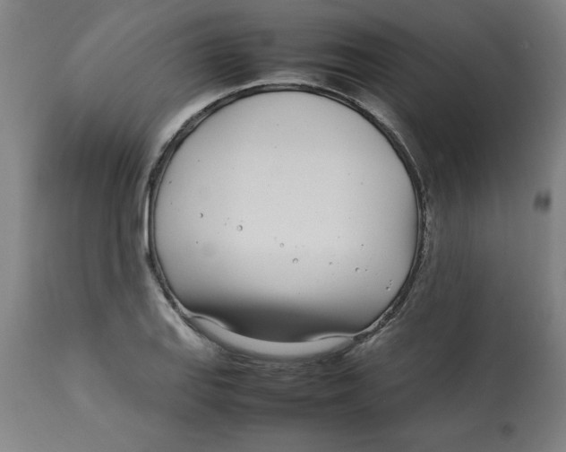 X0000112791127200909181507