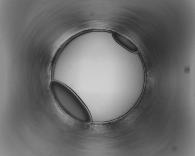 X0000112791128200909181507