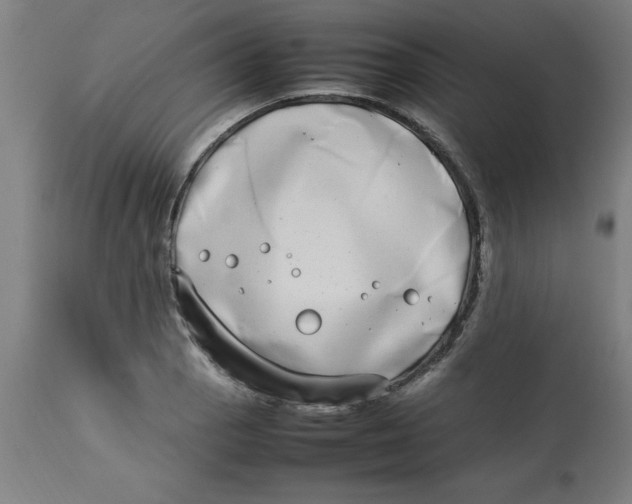 X0000112791129200909181508