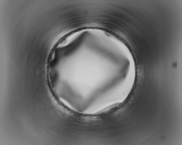 X0000112791133200909181508