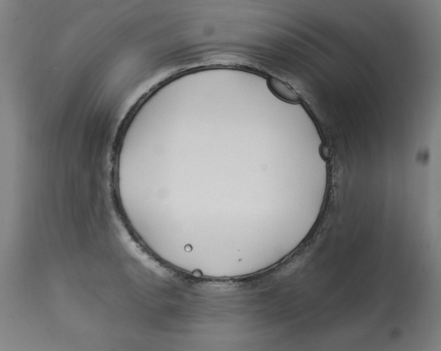 X0000112791134200909181508