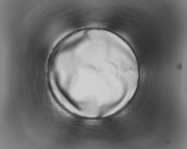 X0000112791135200909181508