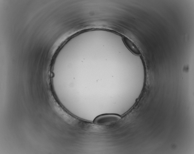 X0000112791136200909181508