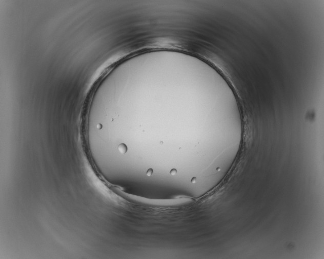 X0000112791139200909181508