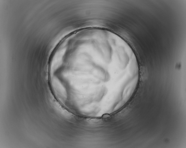 X0000112791140200909181508