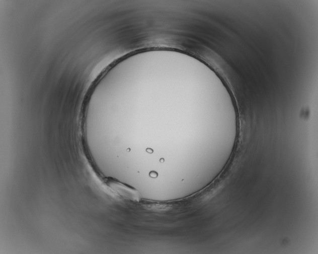 X0000112791141200909181508