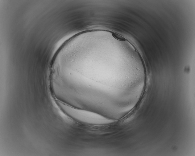 X0000112791149200909181508