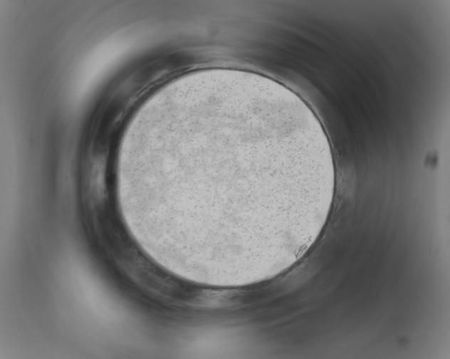 X0000112791150200909181508