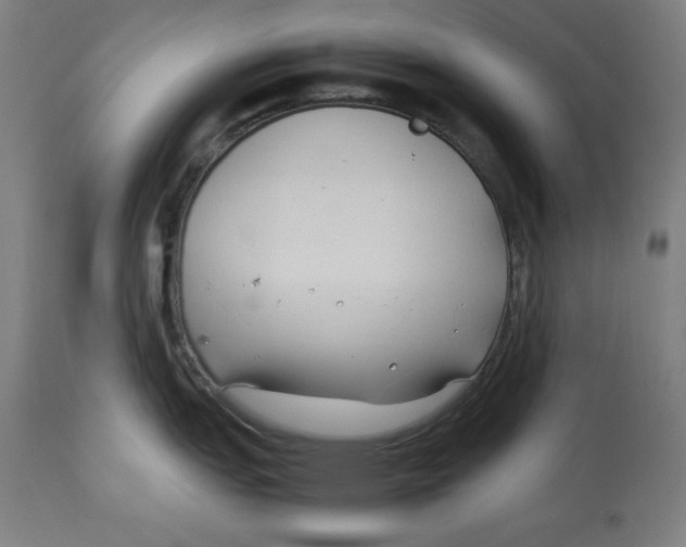 X0000112791151200909181508