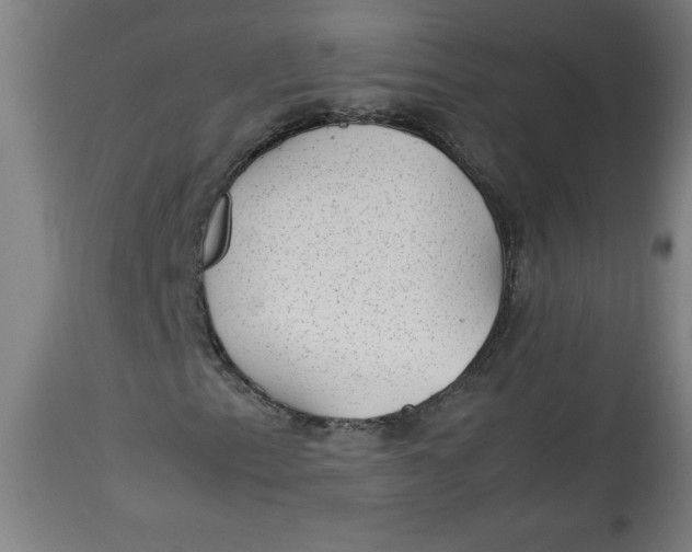 X0000112791153200909181507