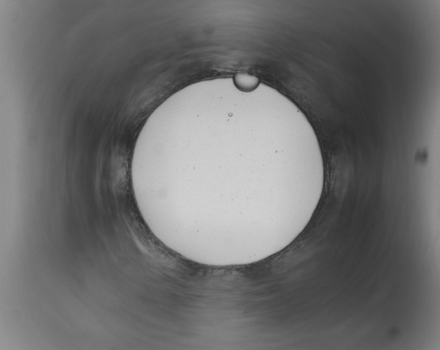 X0000112791154200909181507