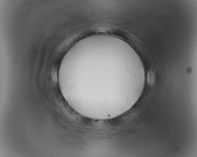 X0000112791155200909181507