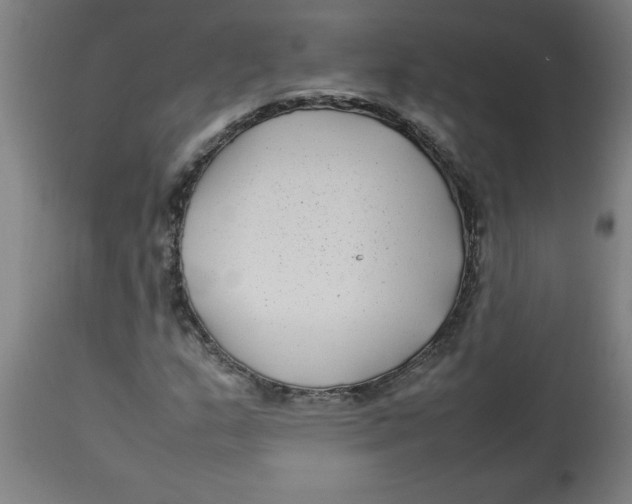 X0000112791159200909181507