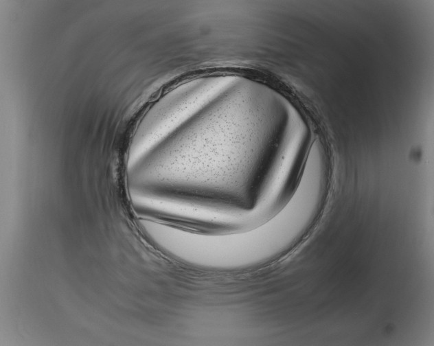 X0000112791161200909181507