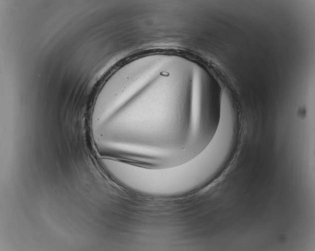 X0000112791162200909181507