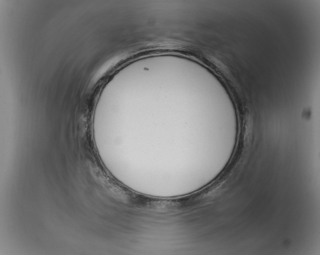 X0000112791163200909181507