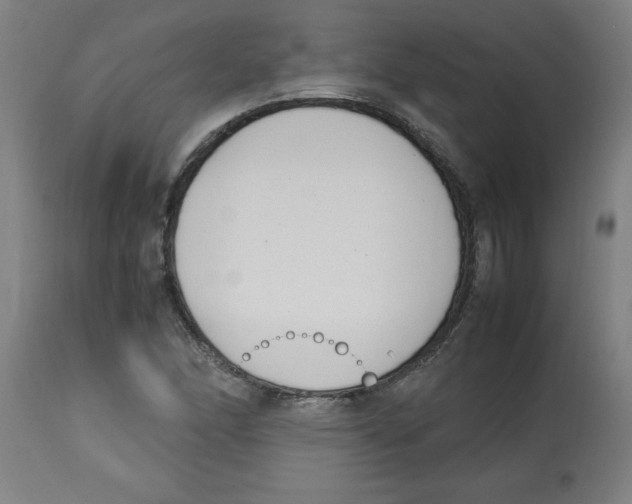 X0000112791166200909181507