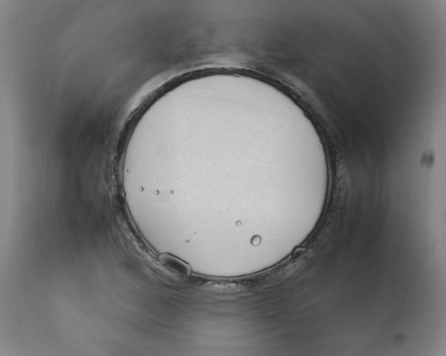 X0000112791168200909181507