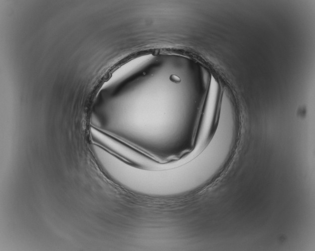 X0000112791169200909181507