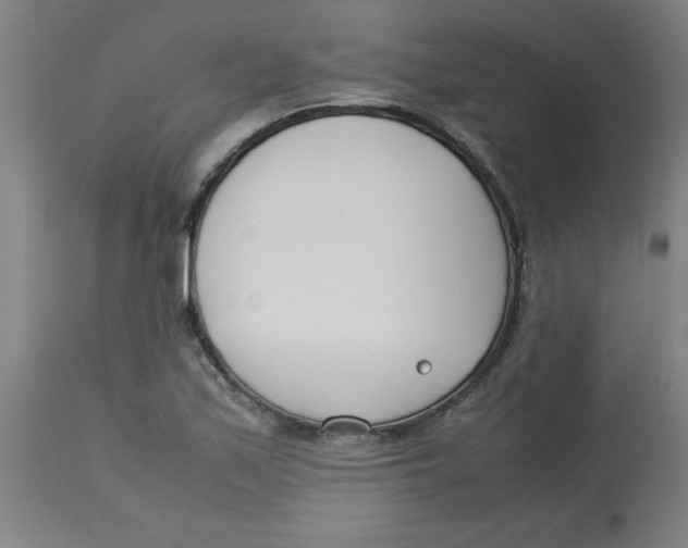 X0000112791171200909181507