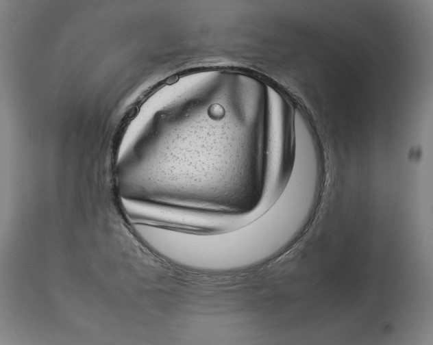 X0000112791173200909181507