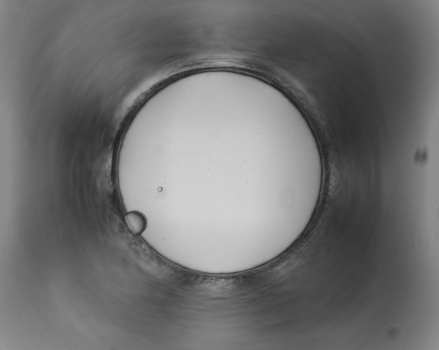 X0000112791174200909181507