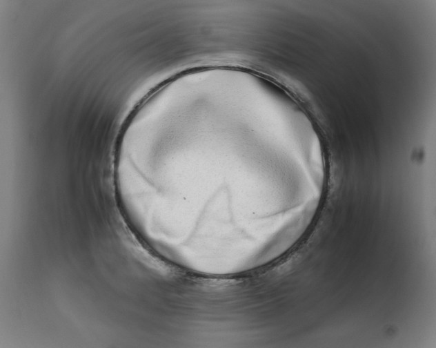 X0000112791184200909181507