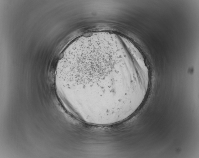 X0000112791185200909181507