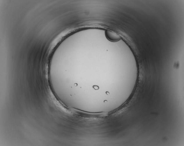 X0000112791188200909181507