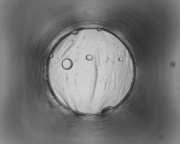 X0000112791189200909181507