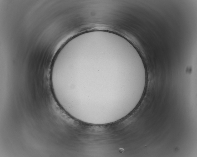 X0000112791190200909181507