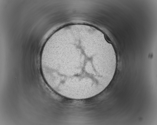 X0000112791191200909181507