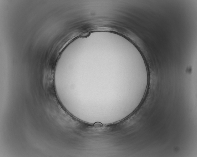 X0000112791193200909181507