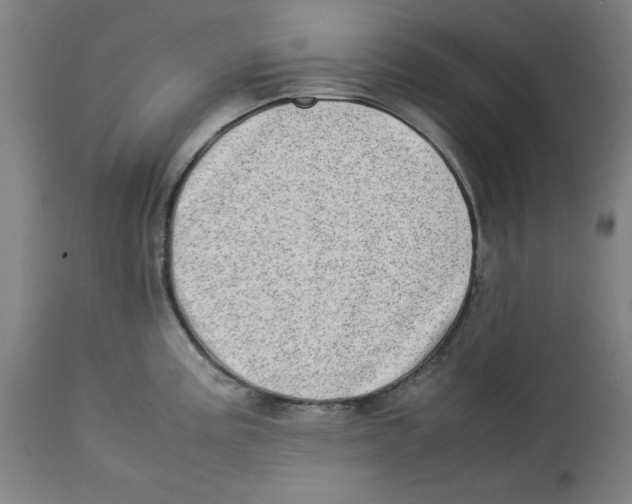 X0000112791195200909181507