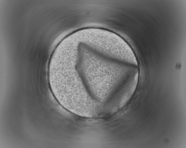 X0000112791199200909181507