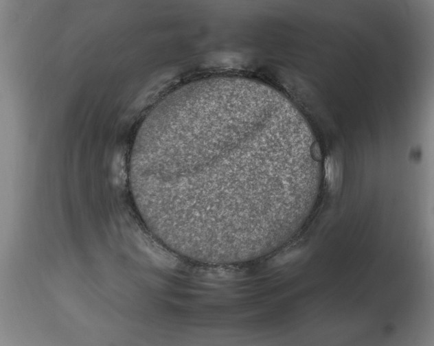 X0000112791203200909181506