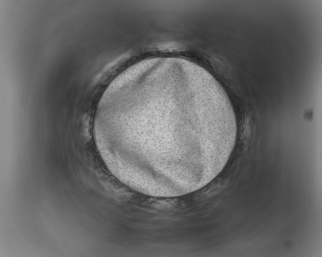 X0000112791205200909181506