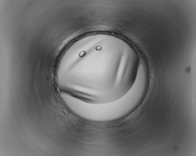 X0000112791210200909181506