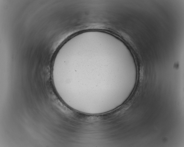 X0000112791212200909181506