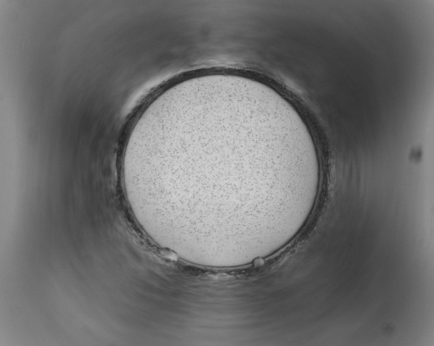 X0000112791214200909181506