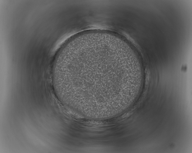 X0000112791215200909181506