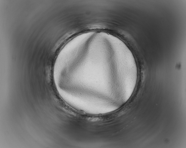 X0000112791217200909181506