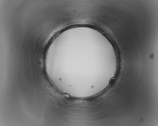 X0000112791218200909181506