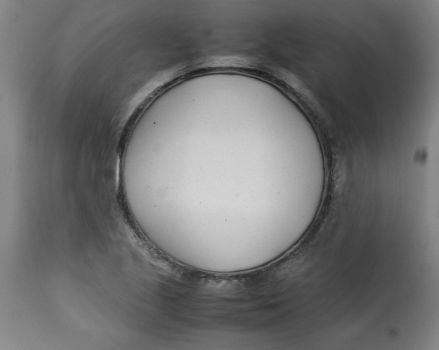 X0000112791221200909181506