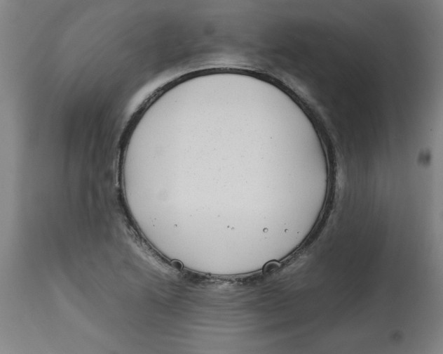 X0000112791222200909181506