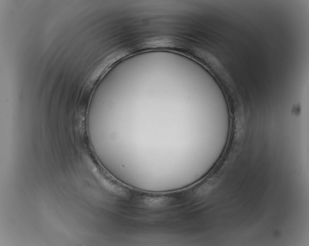 X0000112791225200909181506