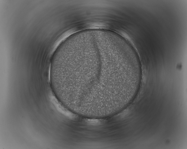 X0000112791227200909181506