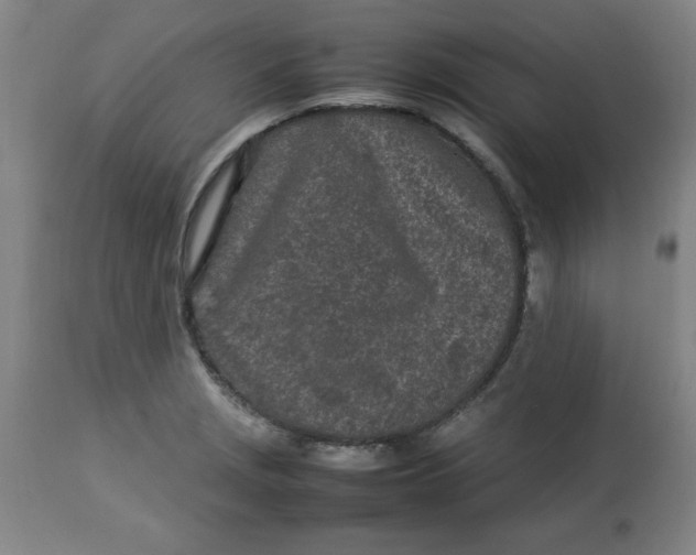 X0000112791229200909181506