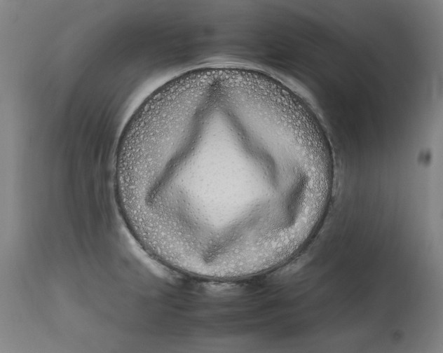 X0000112791231200909181506